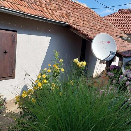 רודניק Apartman Nebojsa מראה חיצוני תמונה