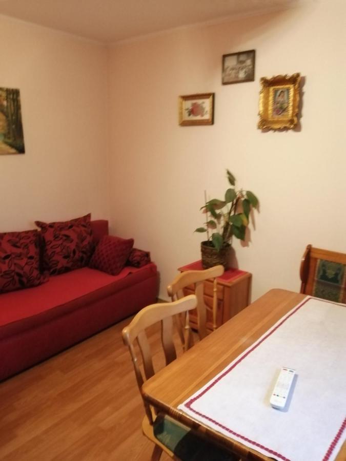 רודניק Apartman Nebojsa מראה חיצוני תמונה