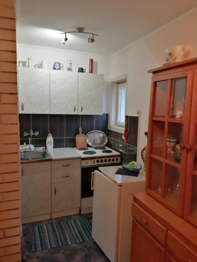 רודניק Apartman Nebojsa מראה חיצוני תמונה