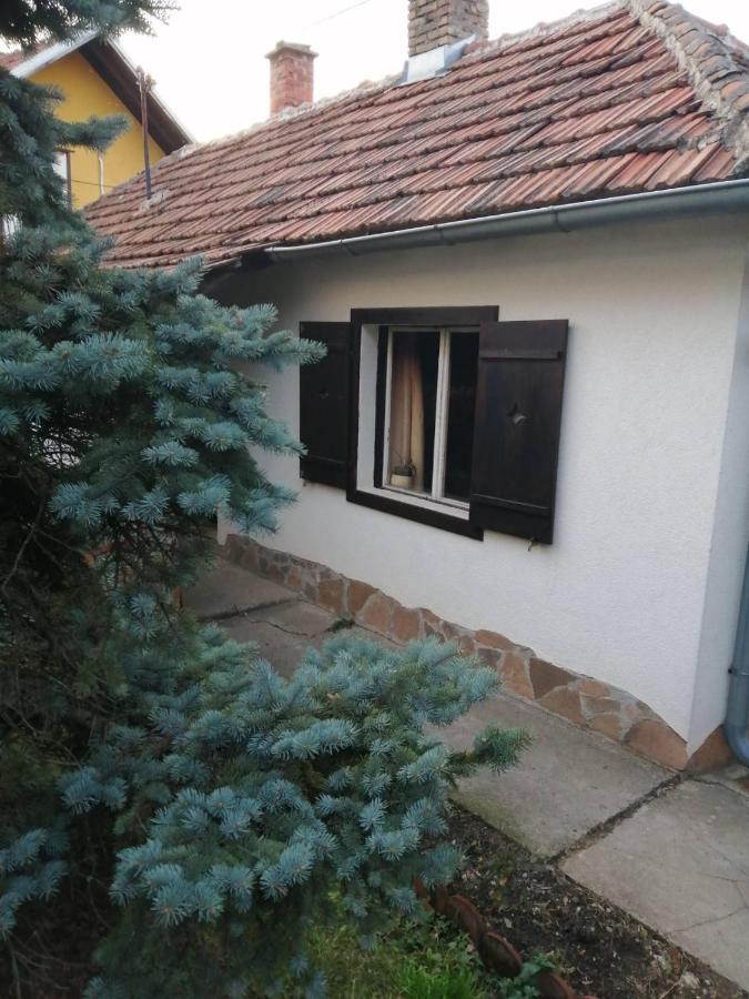 רודניק Apartman Nebojsa מראה חיצוני תמונה
