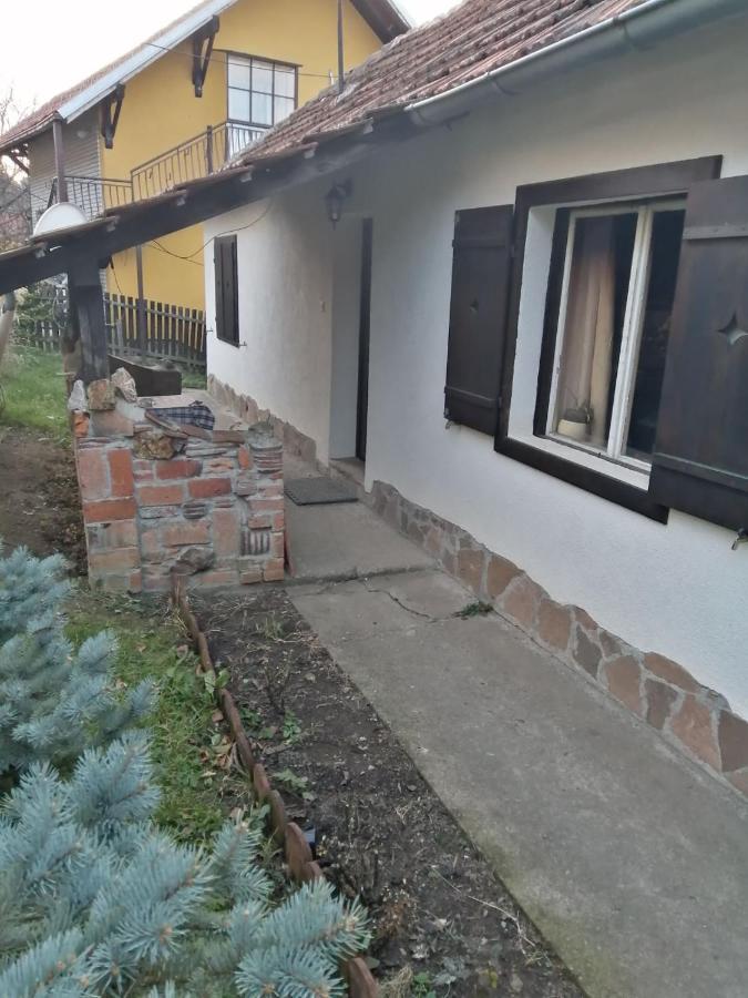 רודניק Apartman Nebojsa מראה חיצוני תמונה