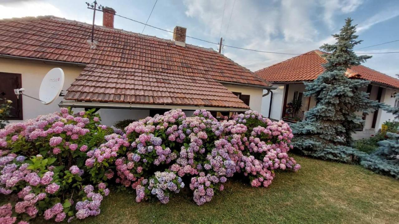 רודניק Apartman Nebojsa מראה חיצוני תמונה