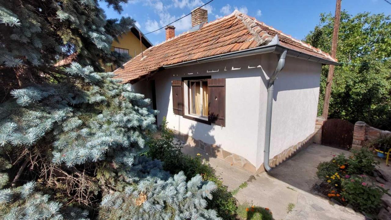 רודניק Apartman Nebojsa מראה חיצוני תמונה