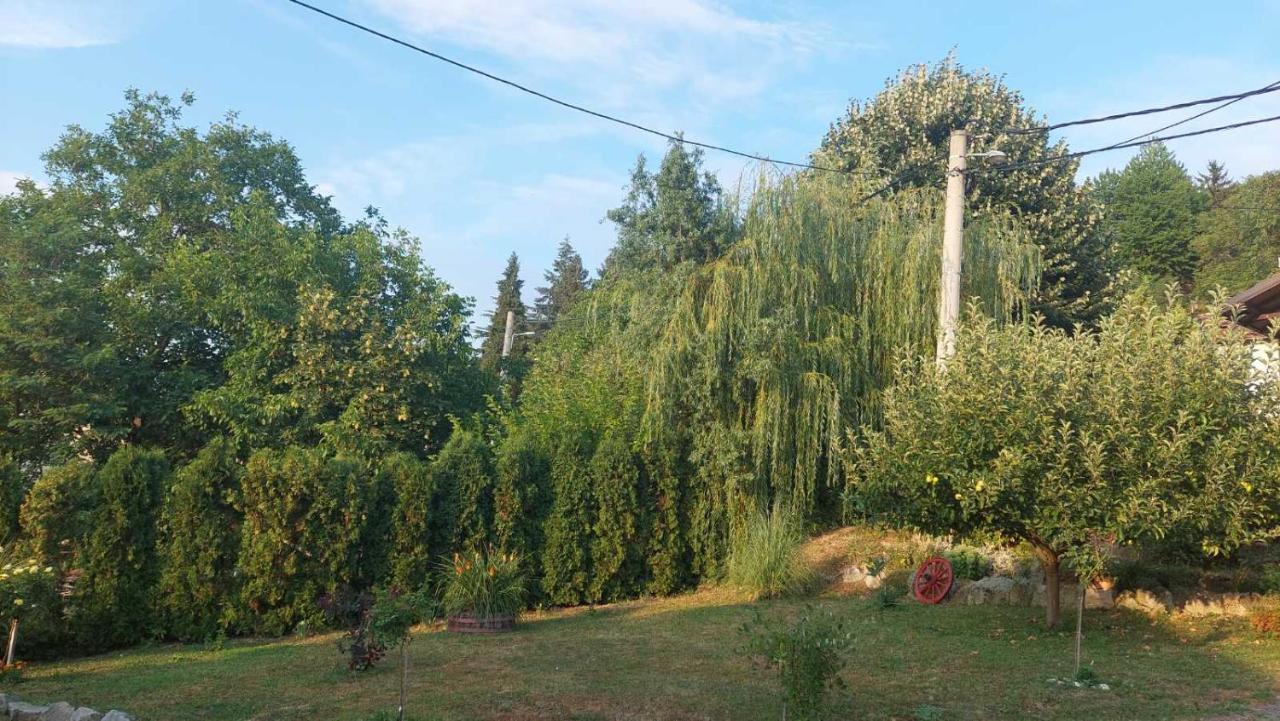 רודניק Apartman Nebojsa מראה חיצוני תמונה