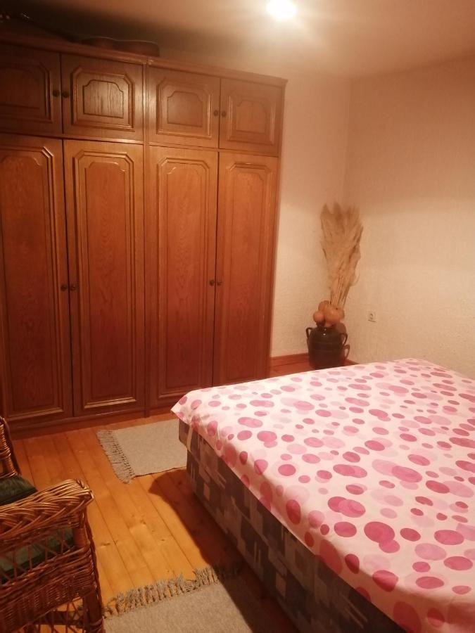 רודניק Apartman Nebojsa מראה חיצוני תמונה